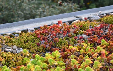 the cost of St Ibbs green roof installation