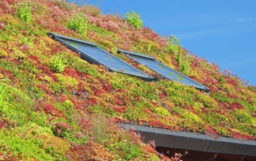 St Ibbs living roof systems